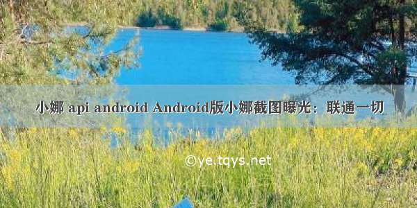 小娜 api android Android版小娜截图曝光：联通一切