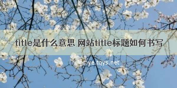 title是什么意思 网站title标题如何书写