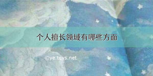 个人擅长领域有哪些方面