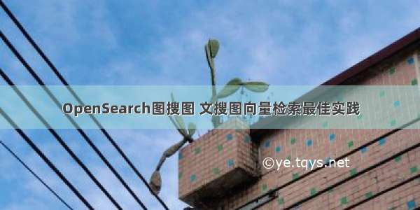 OpenSearch图搜图 文搜图向量检索最佳实践