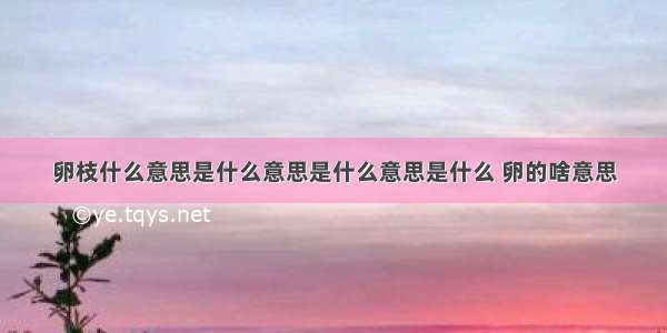 卵枝什么意思是什么意思是什么意思是什么 卵的啥意思