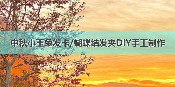 中秋小玉兔发卡/蝴蝶结发夹DIY手工制作