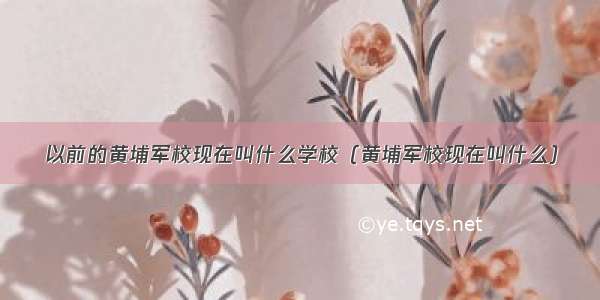 以前的黄埔军校现在叫什么学校（黄埔军校现在叫什么）