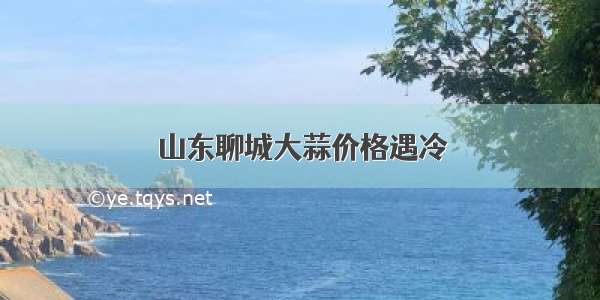 山东聊城大蒜价格遇冷