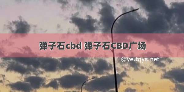 弹子石cbd 弹子石CBD广场