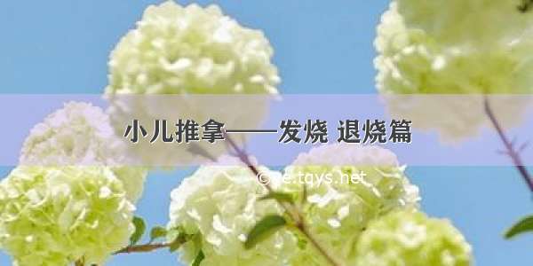 小儿推拿——发烧 退烧篇