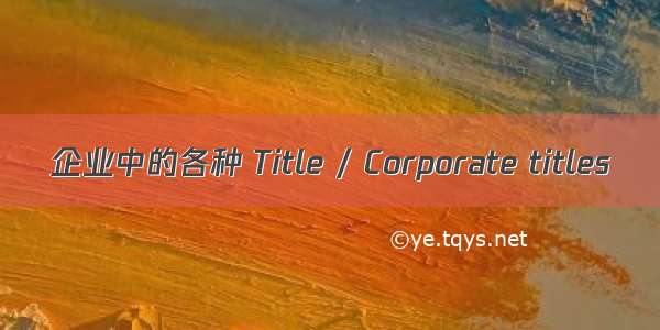 企业中的各种 Title / Corporate titles