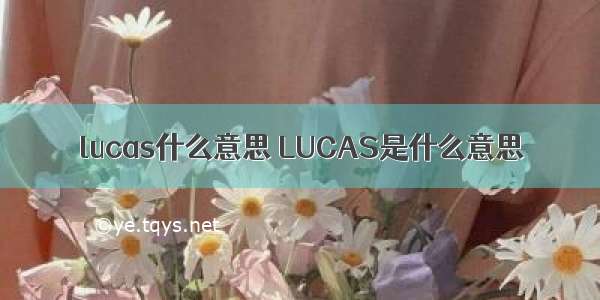 lucas什么意思 LUCAS是什么意思