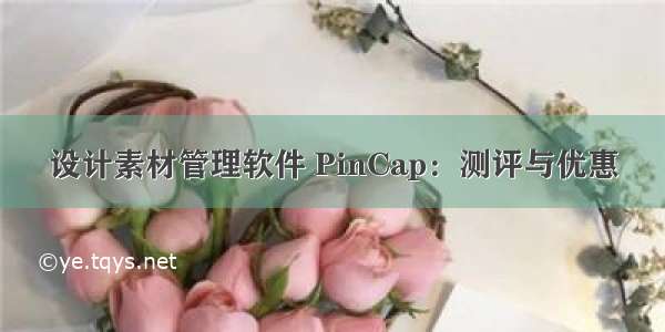 设计素材管理软件 PinCap：测评与优惠