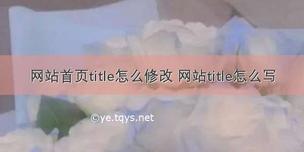 网站首页title怎么修改 网站title怎么写