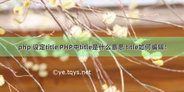 php 设定title PHP中title是什么意思 title如何编辑！