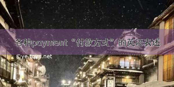 各种payment“付款方式”的英语表述