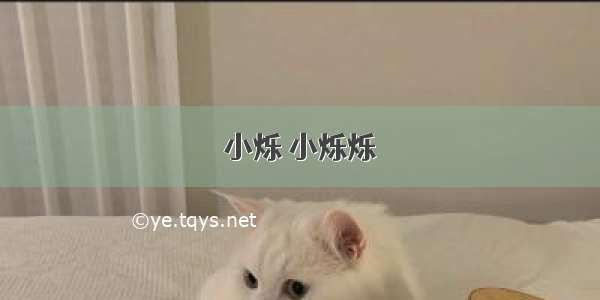 小烁 小烁烁