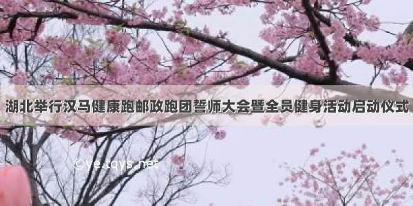 湖北举行汉马健康跑邮政跑团誓师大会暨全员健身活动启动仪式