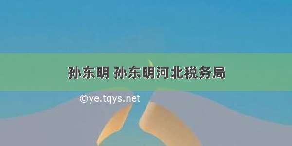 孙东明 孙东明河北税务局