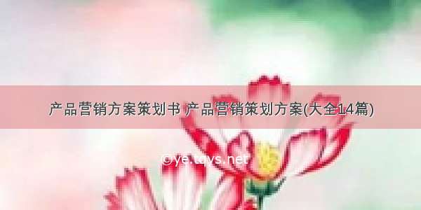 产品营销方案策划书 产品营销策划方案(大全14篇)