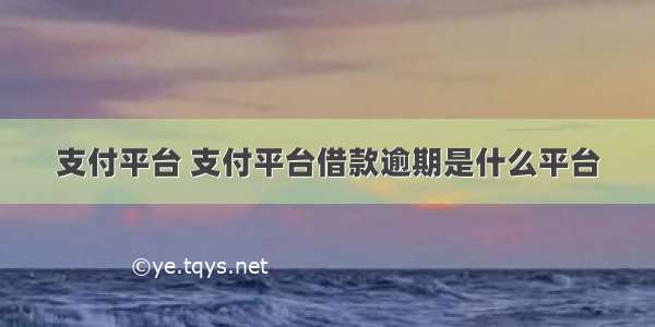 支付平台 支付平台借款逾期是什么平台