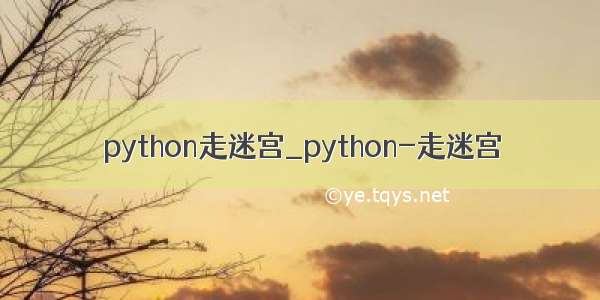 python走迷宫_python-走迷宫