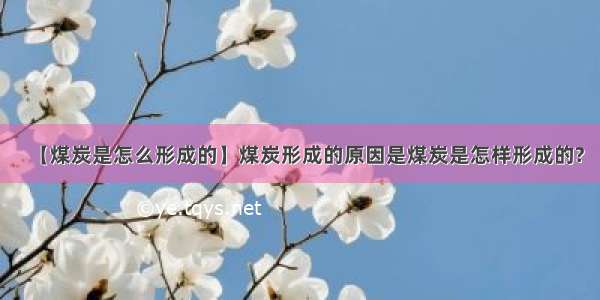 【煤炭是怎么形成的】煤炭形成的原因是煤炭是怎样形成的?