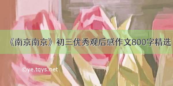 《南京南京》初三优秀观后感作文800字精选