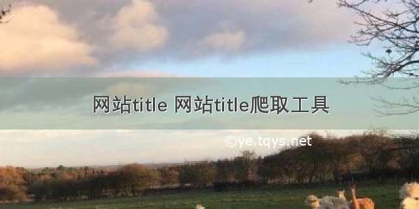 网站title 网站title爬取工具