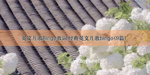 英文儿歌Bingo歌词 经典英文儿歌bingo(9篇)