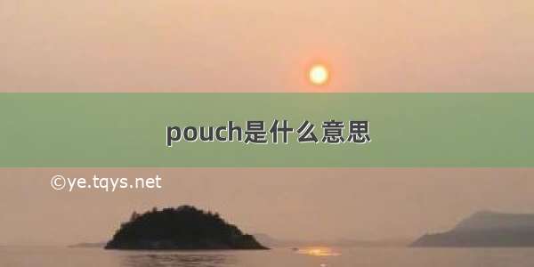 pouch是什么意思