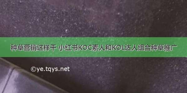 种草营销这样干 小红书KOC素人和KOL达人组合种草推广