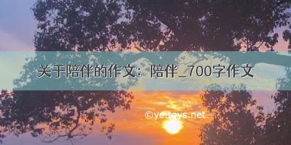 关于陪伴的作文：陪伴_700字作文