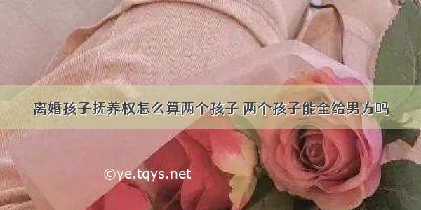 离婚孩子抚养权怎么算两个孩子 两个孩子能全给男方吗