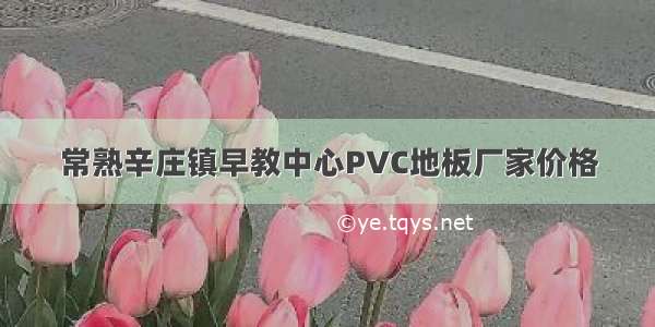 常熟辛庄镇早教中心PVC地板厂家价格