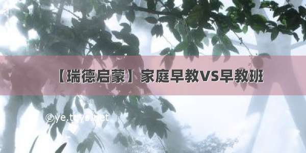 【瑞德启蒙】家庭早教VS早教班