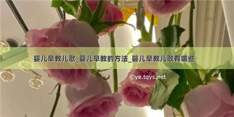 婴儿早教儿歌_婴儿早教的方法_婴儿早教儿歌有哪些