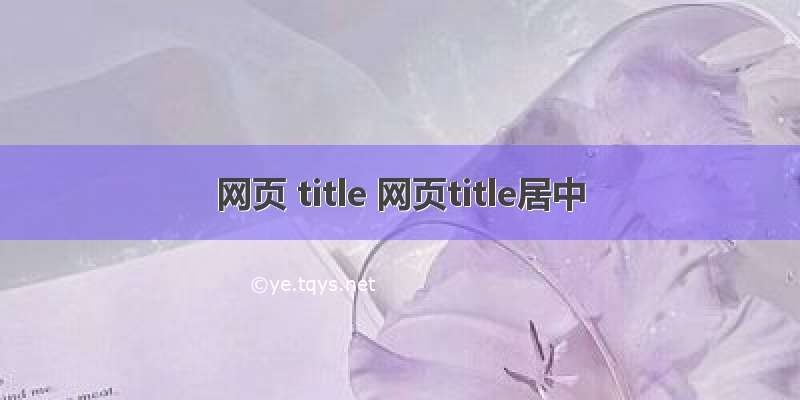 网页 title 网页title居中