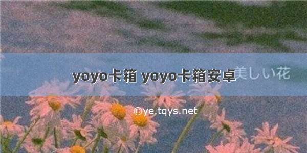 yoyo卡箱 yoyo卡箱安卓