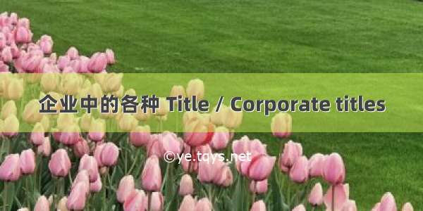 企业中的各种 Title / Corporate titles