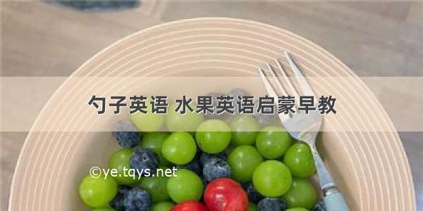 勺子英语 水果英语启蒙早教