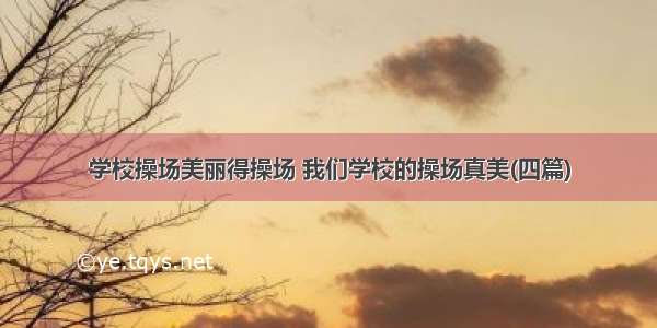 学校操场美丽得操场 我们学校的操场真美(四篇)