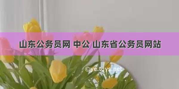 山东公务员网 中公 山东省公务员网站