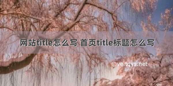 网站title怎么写 首页title标题怎么写