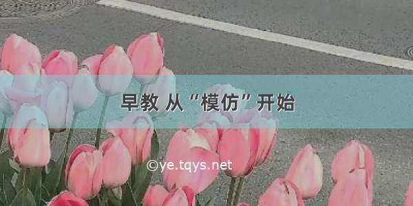 早教 从“模仿”开始