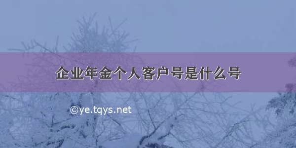 企业年金个人客户号是什么号