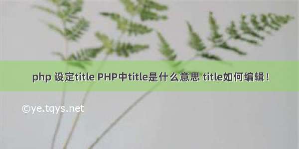 php 设定title PHP中title是什么意思 title如何编辑！