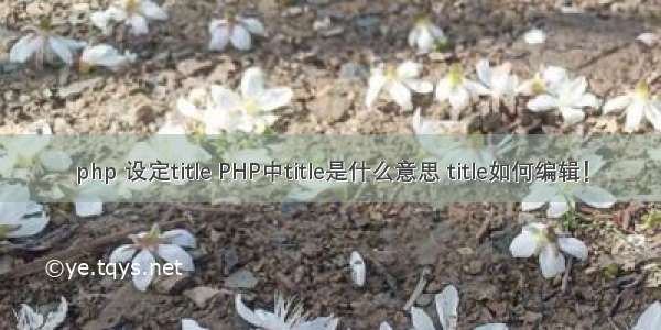 php 设定title PHP中title是什么意思 title如何编辑！