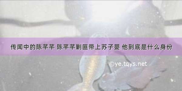 传闻中的陈芊芊 陈芊芊剿匪带上苏子婴 他到底是什么身份