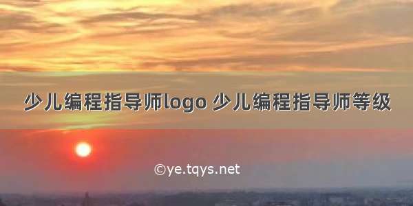 少儿编程指导师logo 少儿编程指导师等级