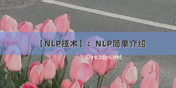 【NLP技术】：NLP简单介绍