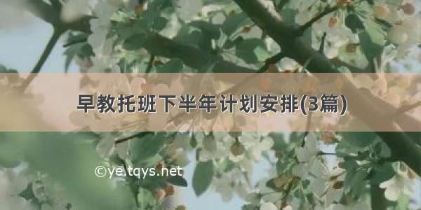 早教托班下半年计划安排(3篇)