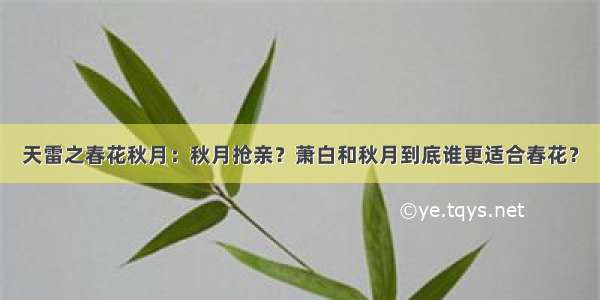 天雷之春花秋月：秋月抢亲？萧白和秋月到底谁更适合春花？