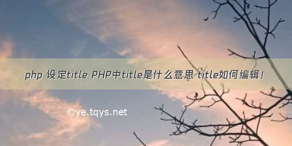 php 设定title PHP中title是什么意思 title如何编辑！